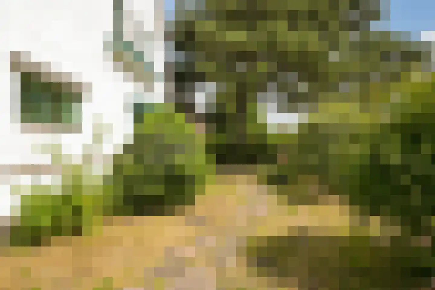 Talinglaan 14 Den Haag thumbnail 10