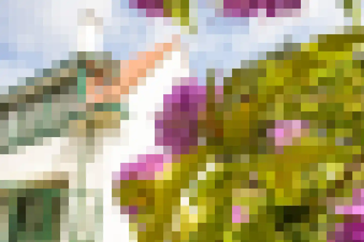 Talinglaan 14 Den Haag thumbnail 11