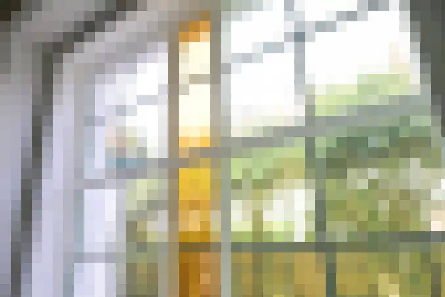 Talinglaan 14 Den Haag thumbnail 18