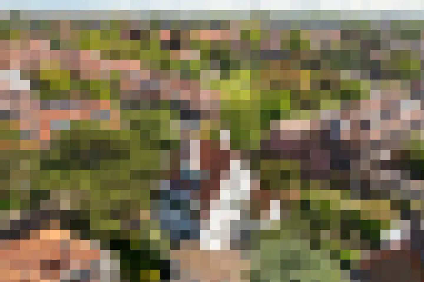 Talinglaan 14 Den Haag thumbnail 4