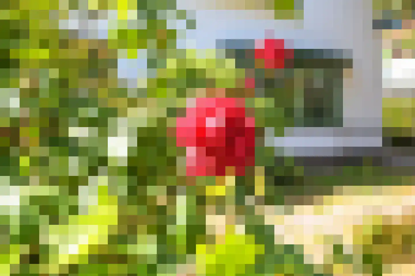Talinglaan 14 Den Haag thumbnail 40