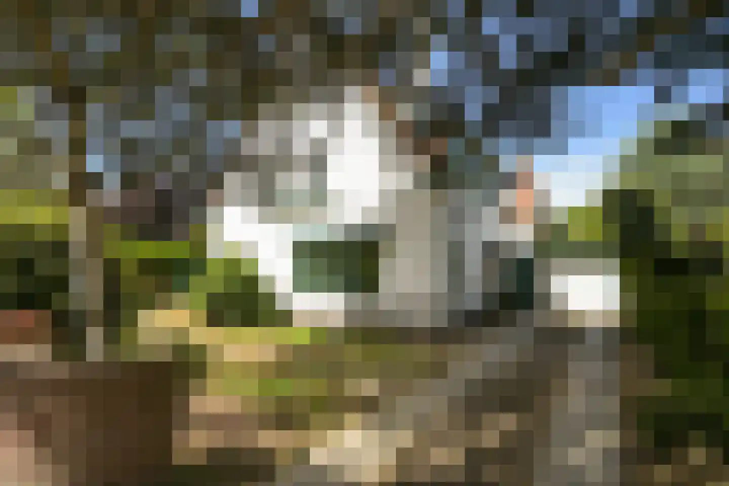 Talinglaan 14 Den Haag thumbnail 5