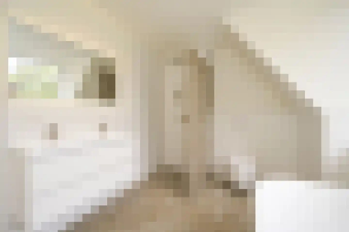 Talinglaan 14 Den Haag thumbnail 6