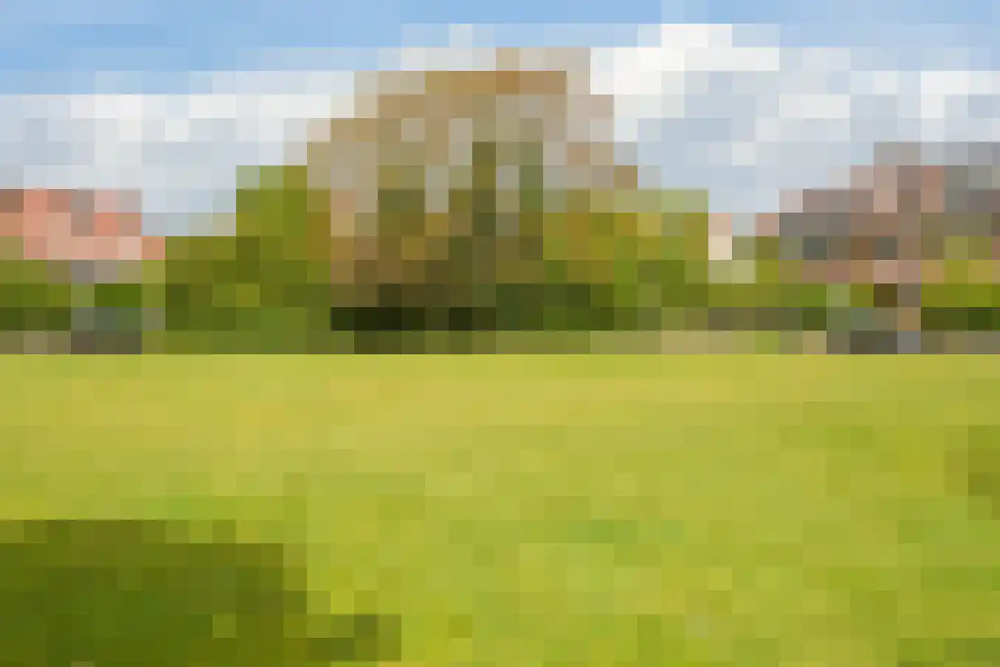Talinglaan 14 Den Haag thumbnail 61