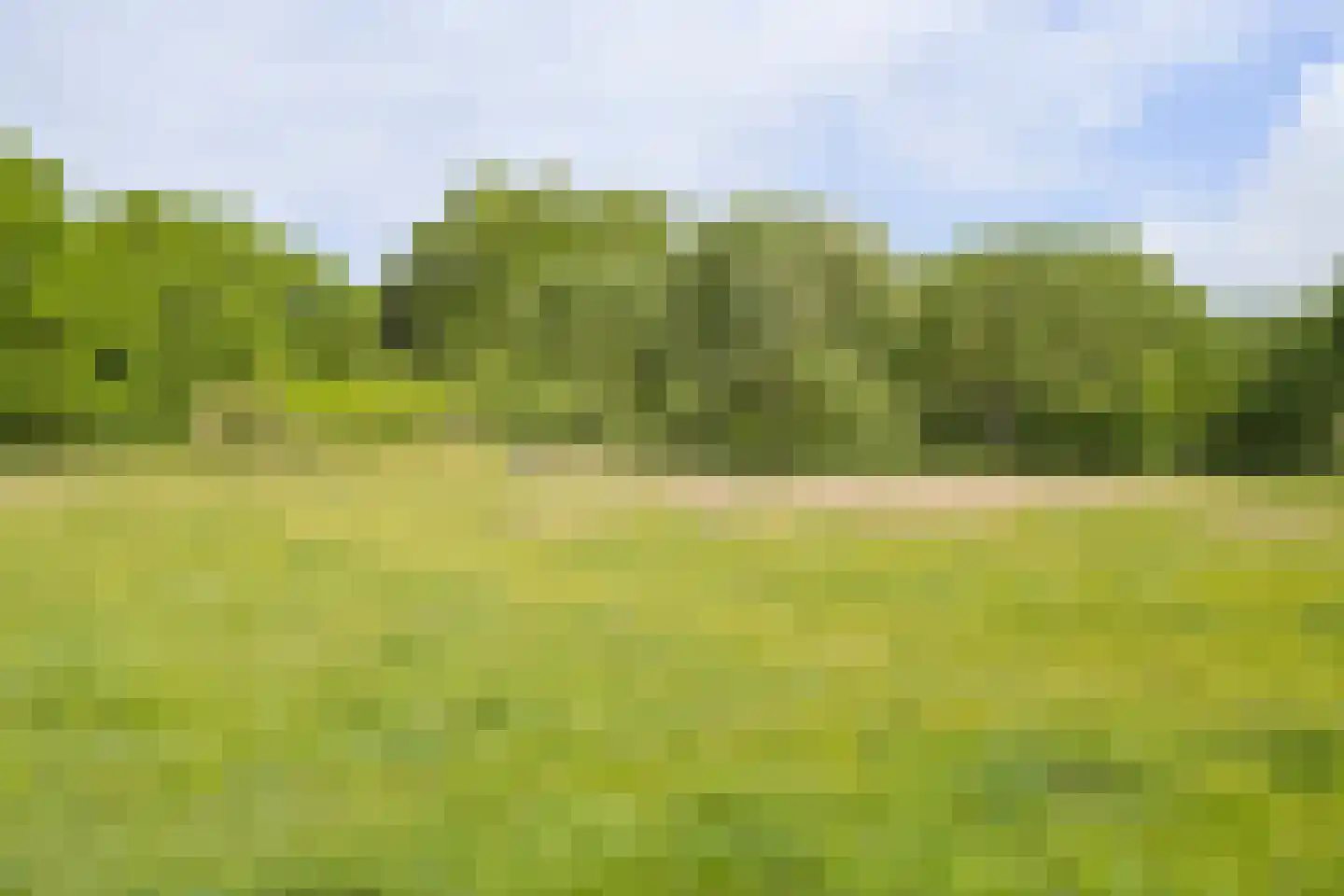Talinglaan 14 Den Haag thumbnail 62