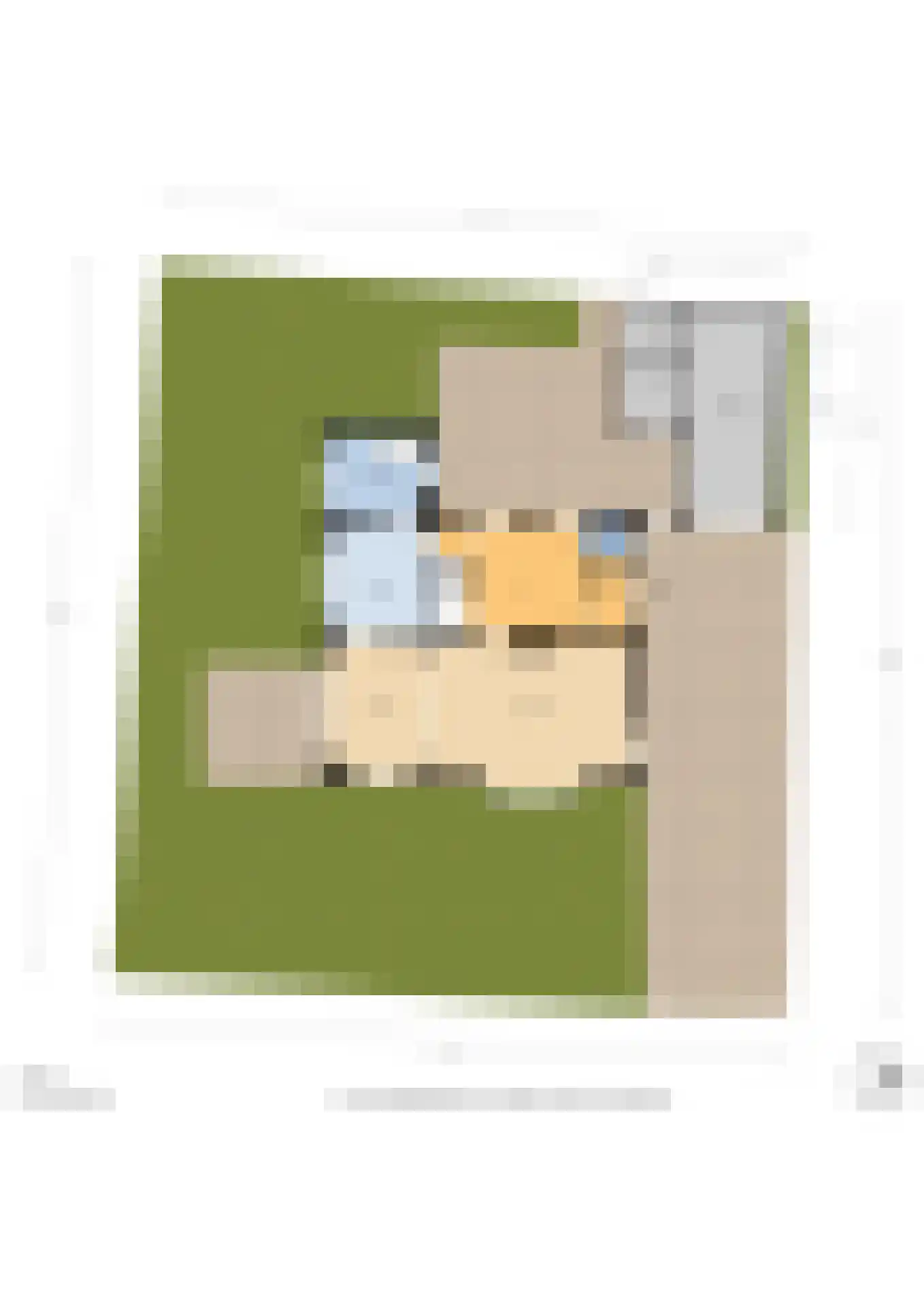 Talinglaan 14 Den Haag thumbnail 70