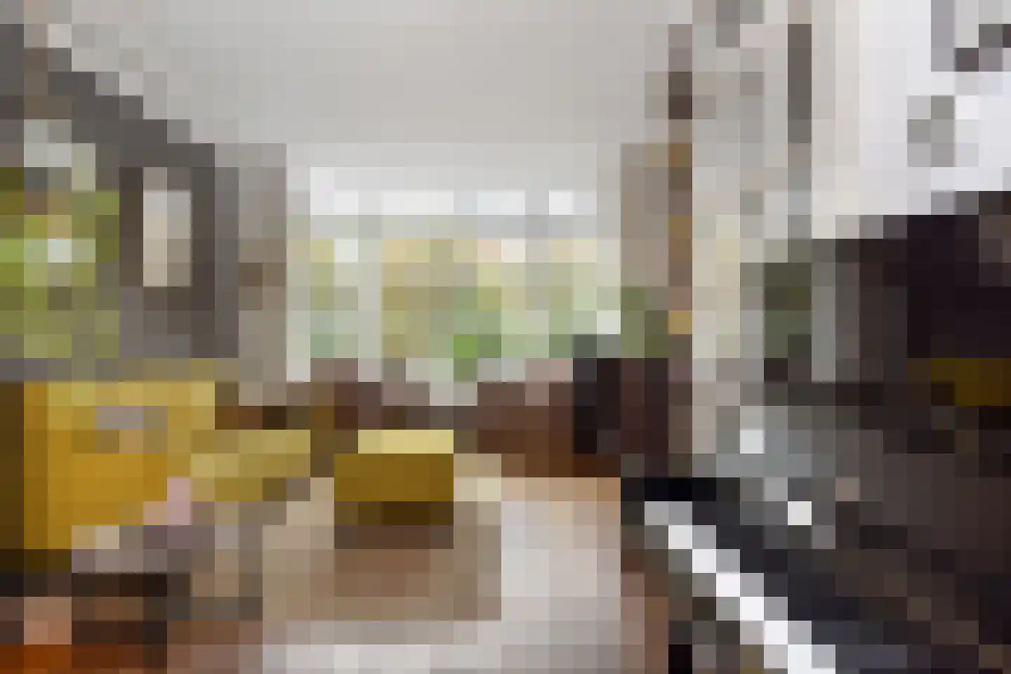 Talinglaan 2 Leidschendam thumbnail 12