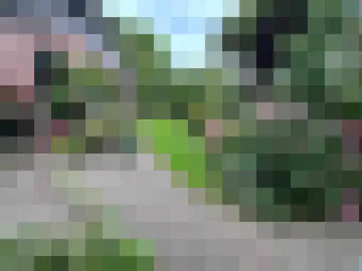Talinglaan 21 Den Haag thumbnail 15