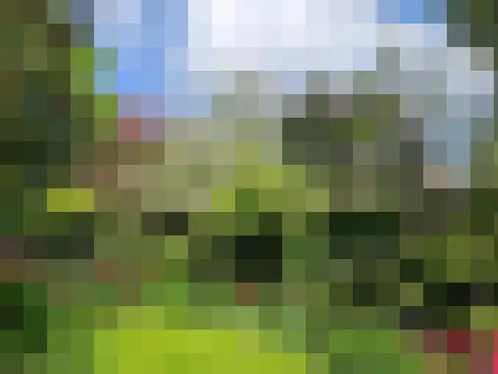 Talinglaan 21 Den Haag thumbnail 16