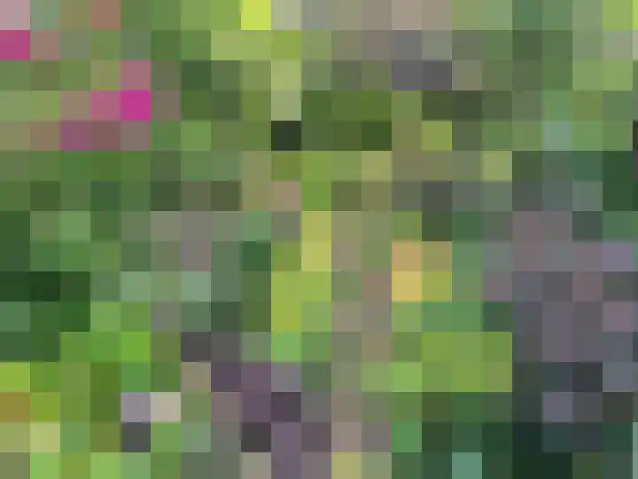 Talinglaan 21 Den Haag thumbnail 17