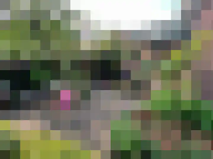 Talinglaan 21 Den Haag thumbnail 18