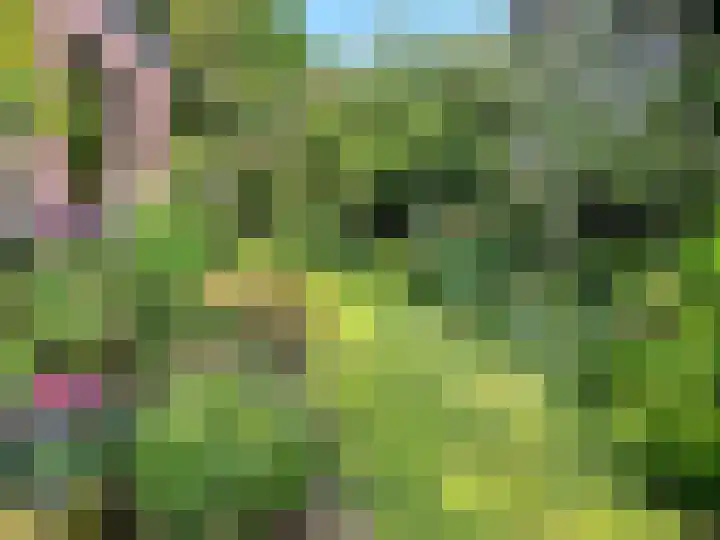 Talinglaan 21 Den Haag thumbnail 25