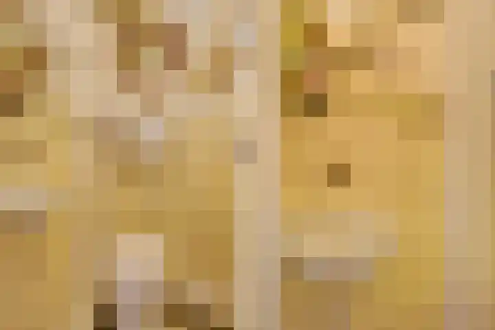 Talinglaan 21 Den Haag thumbnail 29