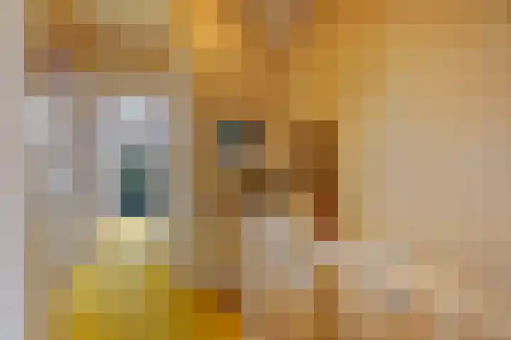 Talinglaan 21 Den Haag thumbnail 30