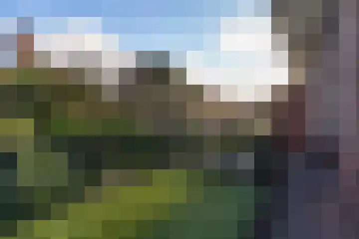 Talinglaan 21 Den Haag thumbnail 35