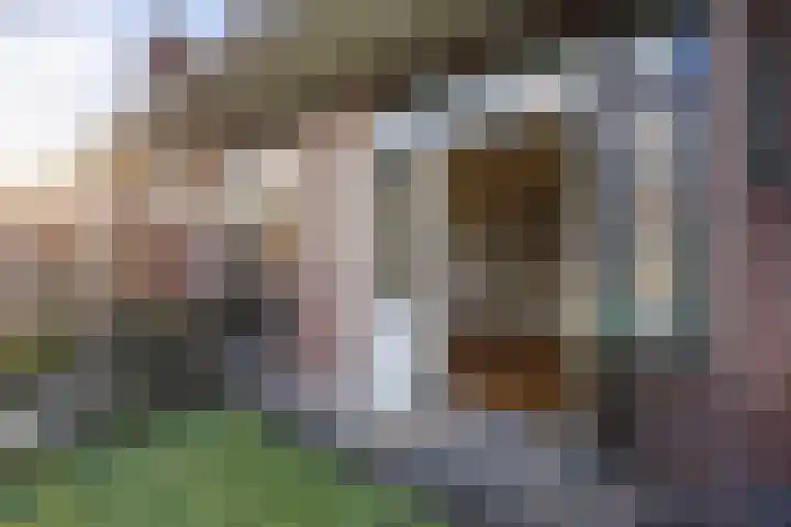 Talinglaan 21 Den Haag thumbnail 38