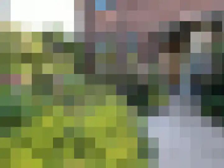 Talinglaan 21 Den Haag thumbnail 4