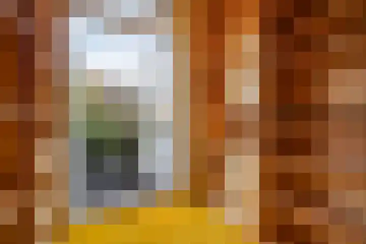 Talinglaan 21 Den Haag thumbnail 40
