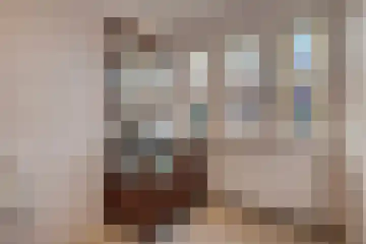 Talinglaan 21 Den Haag thumbnail 43
