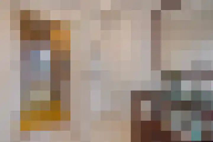 Talinglaan 21 Den Haag thumbnail 46