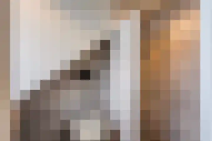Talinglaan 21 Den Haag thumbnail 52
