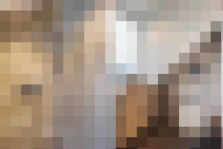 Talinglaan 21 Den Haag thumbnail 53