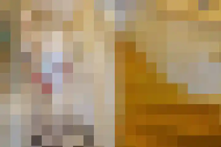 Talinglaan 21 Den Haag thumbnail 6