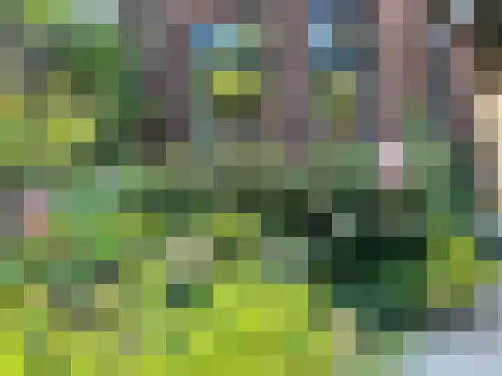 Talinglaan 21 Den Haag thumbnail 62