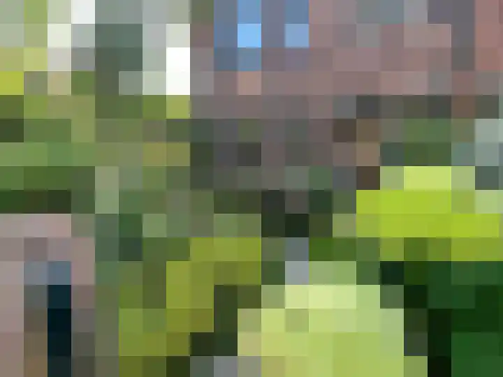 Talinglaan 21 Den Haag thumbnail 63