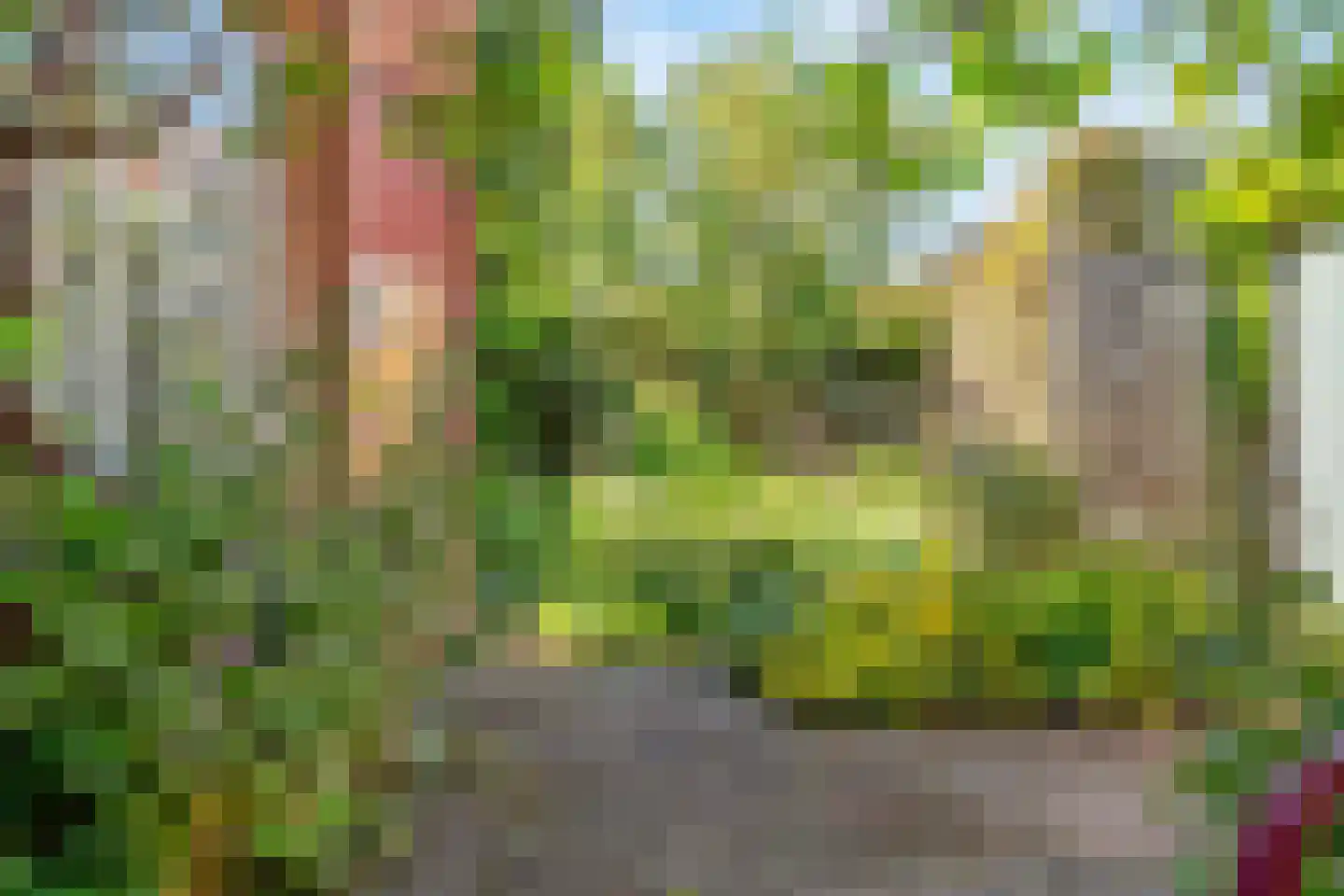 Talinglaan 29 Bilthoven thumbnail 34