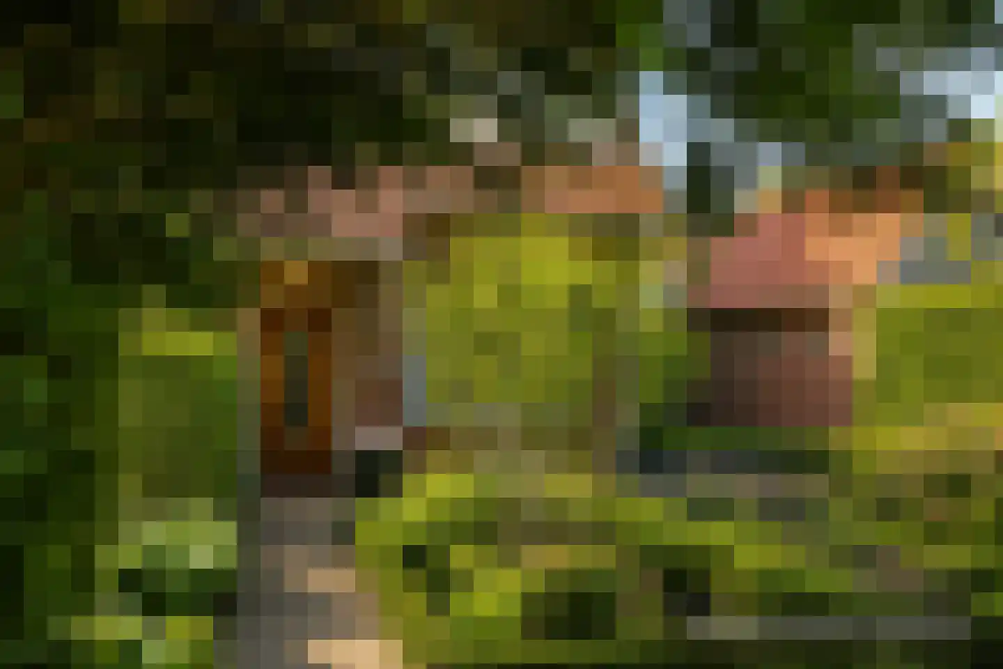 Talinglaan 29 Bilthoven thumbnail 4