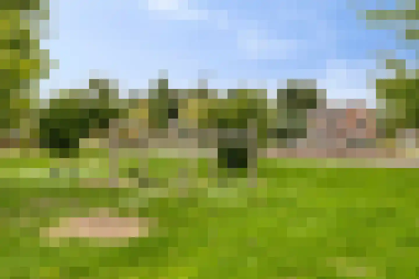 Talingnest 8 Moordrecht thumbnail 56