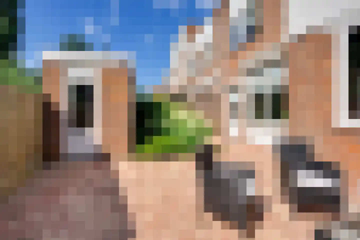 Talingpad 60 Werkendam thumbnail 25