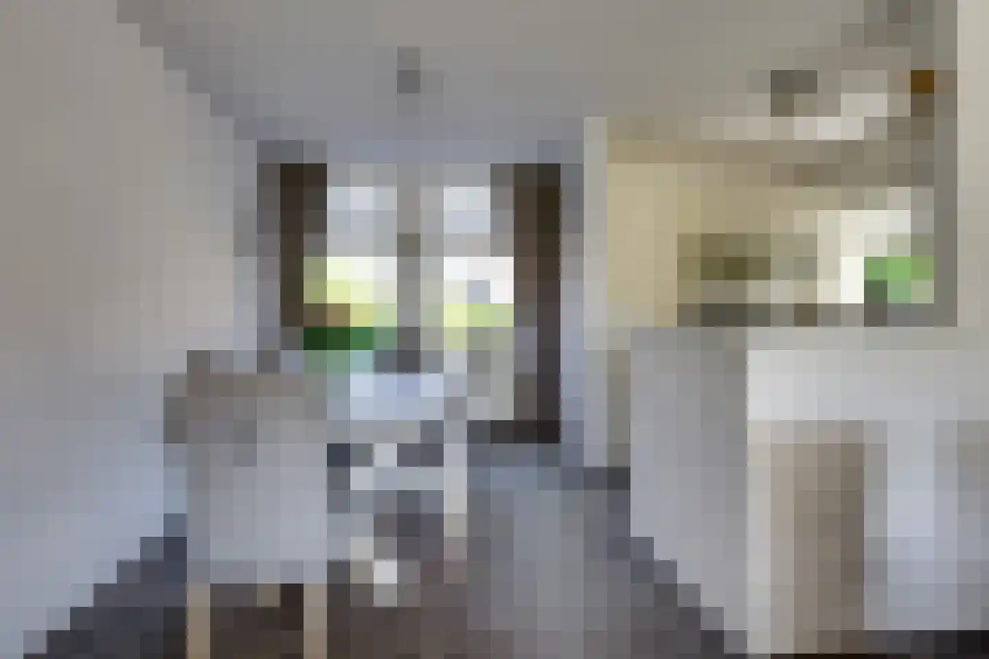 Talingpad 60 Werkendam thumbnail 8