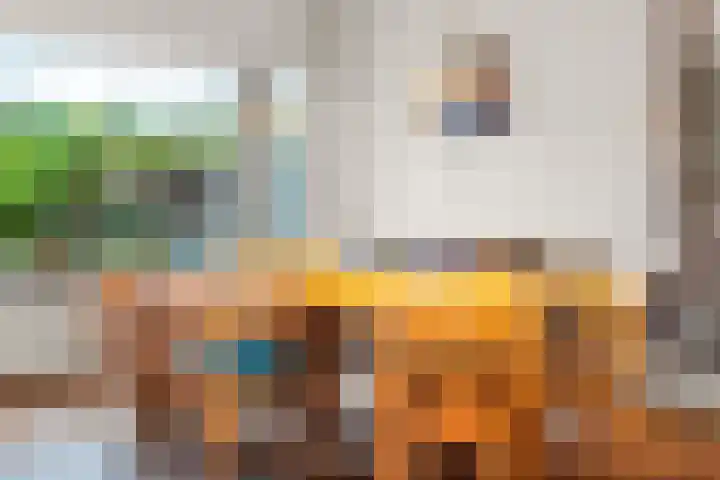 Talingsingel 36 Velp thumbnail 15