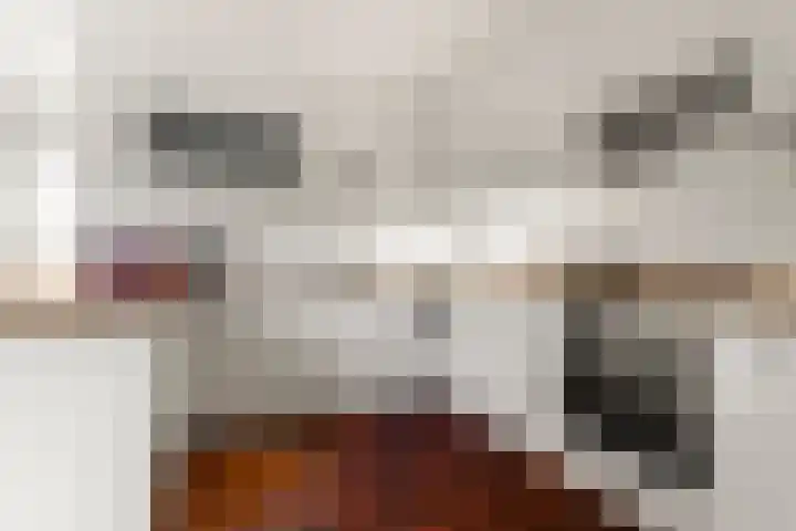 Talingsingel 36 Velp thumbnail 19