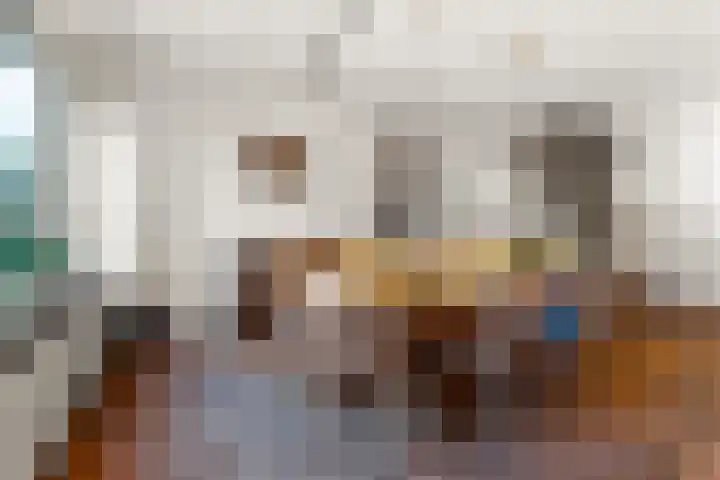 Talingsingel 36 Velp thumbnail 21
