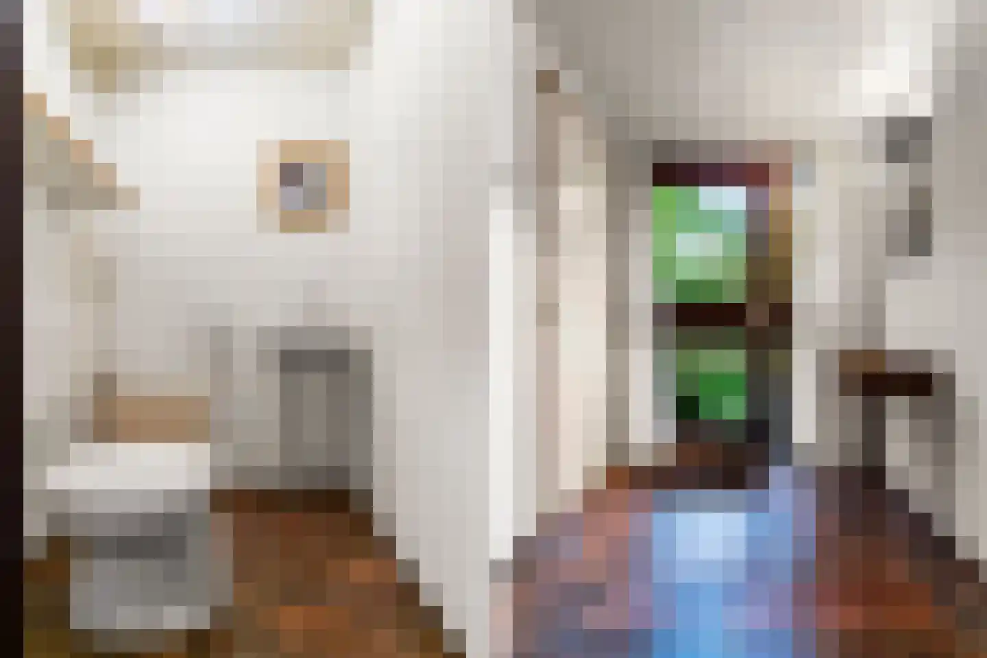 Talingsingel 36 Velp thumbnail 23