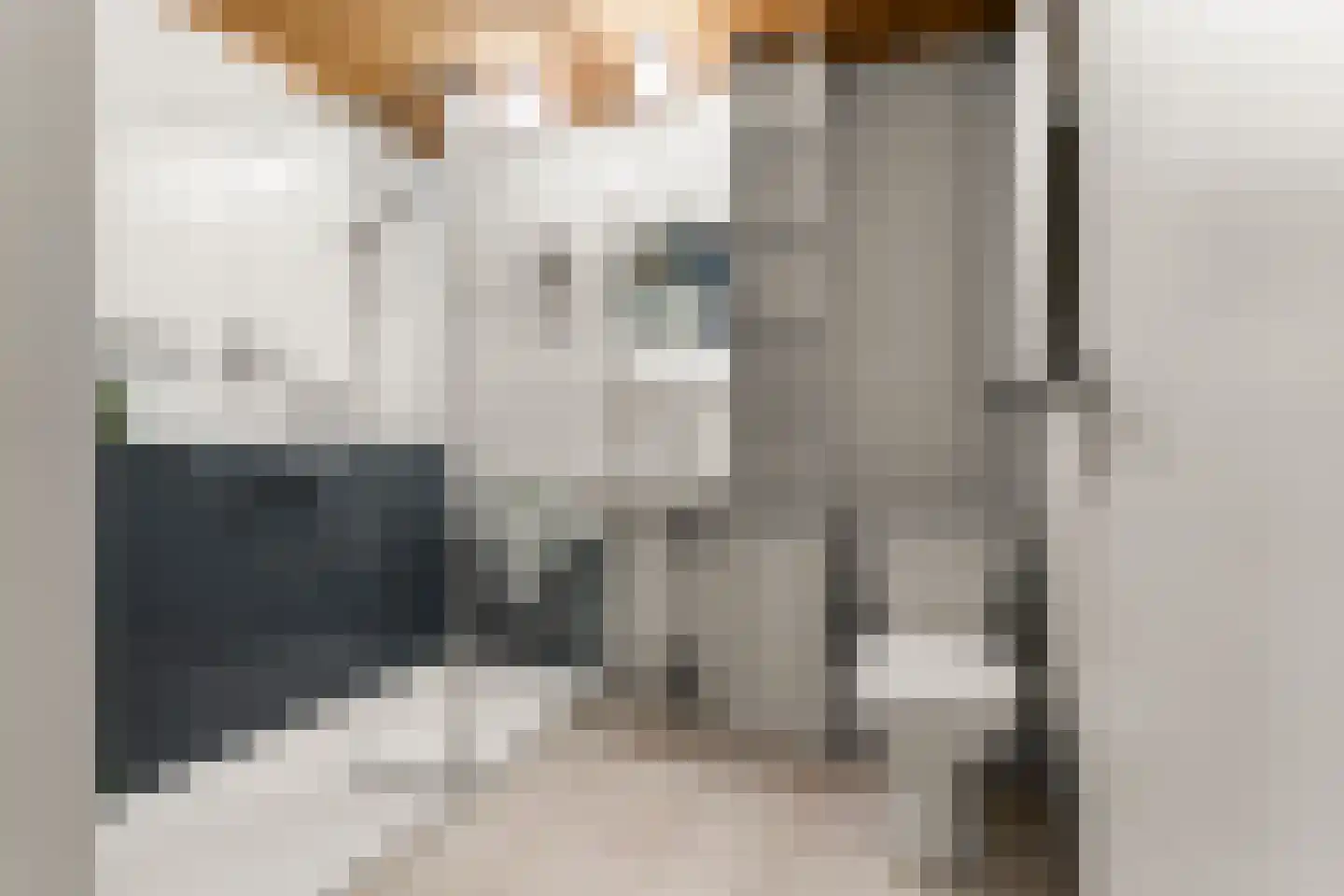 Talingsingel 36 Velp thumbnail 29