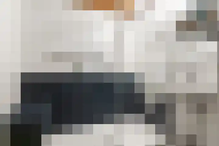 Talingsingel 36 Velp thumbnail 30