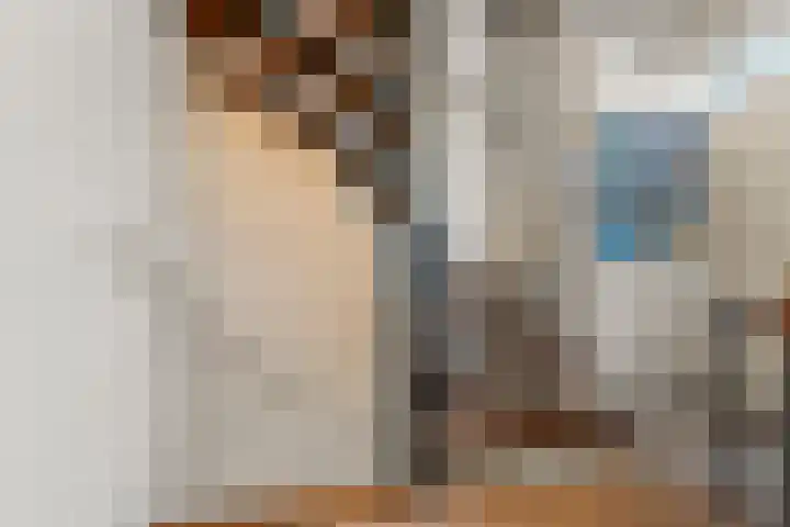 Talingsingel 36 Velp thumbnail 34