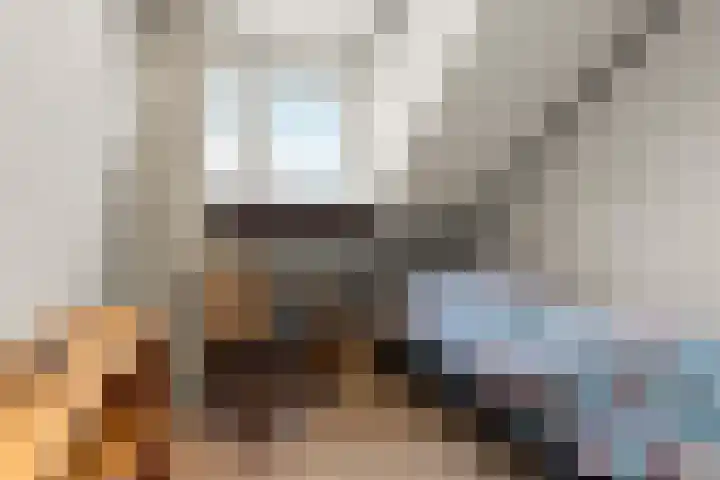 Talingsingel 36 Velp thumbnail 37