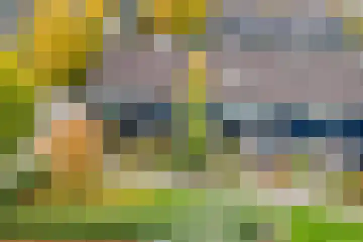 Talingsingel 36 Velp thumbnail 4