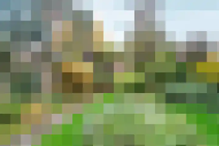 Talingsingel 36 Velp thumbnail 40
