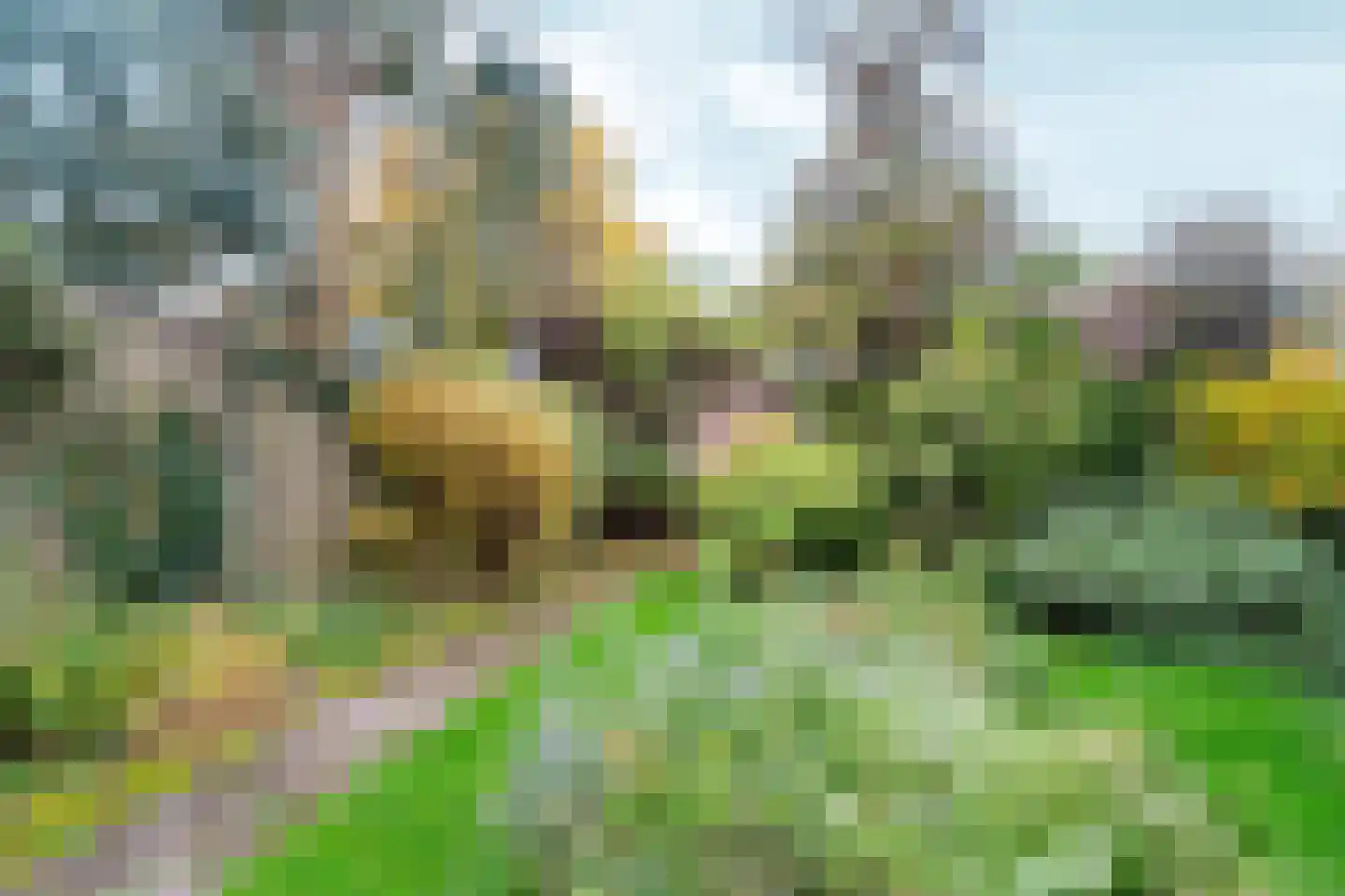 Talingsingel 36 Velp thumbnail 40