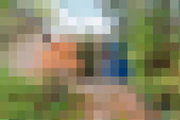 Talingsingel 36 Velp thumbnail 42