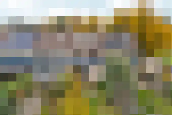 Talingsingel 36 Velp thumbnail 49