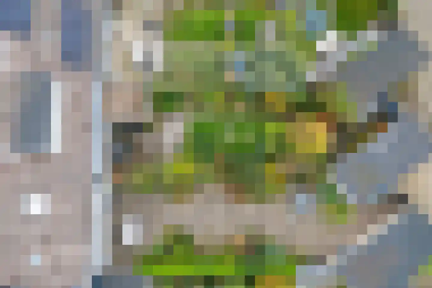 Talingsingel 36 Velp thumbnail 53
