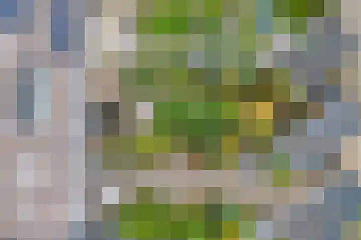 Talingsingel 36 Velp thumbnail 53