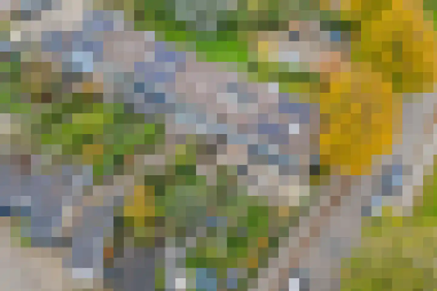 Talingsingel 36 Velp thumbnail 54